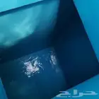 تنظيف وغزال وتعقيم خزانات في جده