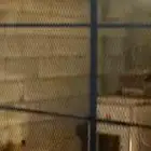 فقاسه للبيع