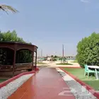 انجيله صناعية عشب صناعي بديل خشب خارجي اعشاب جداريه