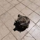 قربة جيب تايوتا
