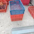أغراض مشروع دواجن