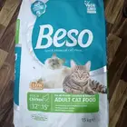 اكل قطط مشكل