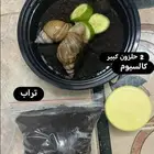 حلزونات للبيع فكرة مشروع مربح