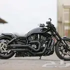 مطلوب دباب هارلي night rod