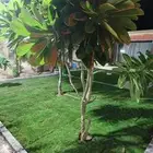 استراحة نعمان بالقرب من نقطة التفتيش عرفه