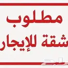 مطلوب شقه للايجار