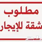 مطلوب شقة عوايل مجلس وغرفتين وصالة ومطبخ ودورة مياه 2
