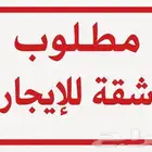 مطلوب شقه للايجار