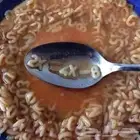 الرياضيات حياه