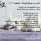فندقة قطط جده