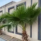 حي الرواد