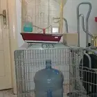 قفص ببغاء و عصافير وقفص حيوانات اللفة