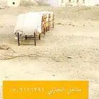 عسل سدر اصلي ومضمون شرط