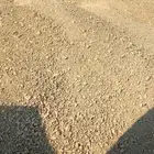 صبيز دفان a1a للبيع
