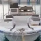 مرس الرايس