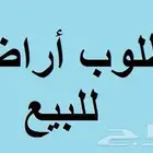 للبيع نص ارض في مخطط 1 ي