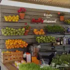 معلم عصيرات وقهاوي وحلا