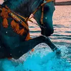 رحلة على البحر بالخيل و ركوب في الاسطبل