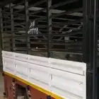 دينا دينه للتوصيل لاي مكان
