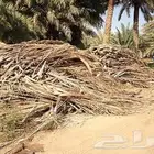 خوص وكرب للبيع