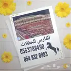 تاجير خيم تاجير مكيفات تاجير طاوله تاجير شبك نور تاجير عقود