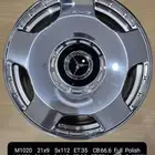 جنوط جميع الأنواع