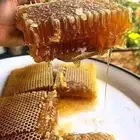 حياكم الله يوجد لدينا عسل مضمون من مزرعة خاصة في رجال المع.