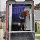 عربه نقل خيل