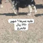 2019