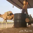 زيت معصره سمسم