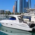 Oryx 36  model 2011  two Mercury engines 300