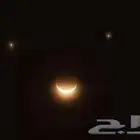 بيت شعر دارمي للبيع