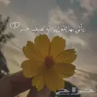 مطلوب بيت شعبي ايجار بحدود 500ريال