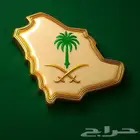 محتاج فقاصه بيض دجاج تماتيك
