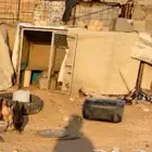 شبك كبير 2 2 يصلح للدجاج وللغنم الصغار الدواغير يعني