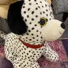 دبدوب