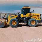 سائق شيول أو بكلين إقامة سارية خبرة أكثر من عشر سنوات
