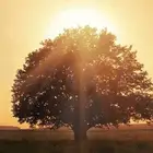 ابحث عن شقة ايجار ( 4 - 5 ) غرف