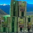 نحل مرزوم مصرى خصم 10