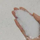 تيماء