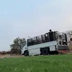 دينا نقل عفش داخل جده