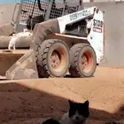 بوبكات شيول صغير رصاصه مدحله للأيجار