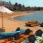 شالية بالدرة العروس