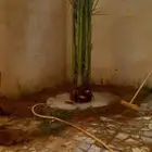 ابو علي لتوريد انخيل