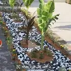 مشتل تنسيق حدائق