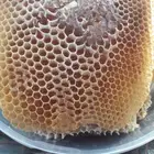 عسل سدر وشوكة من جبال جيزان