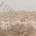 مقالات عامه في زراعة