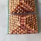 صقعي فاخر