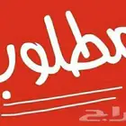 مطلوب موقع مخيم للإيجار