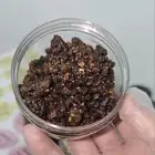 خبز النحل علاجي